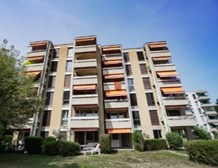 Image19