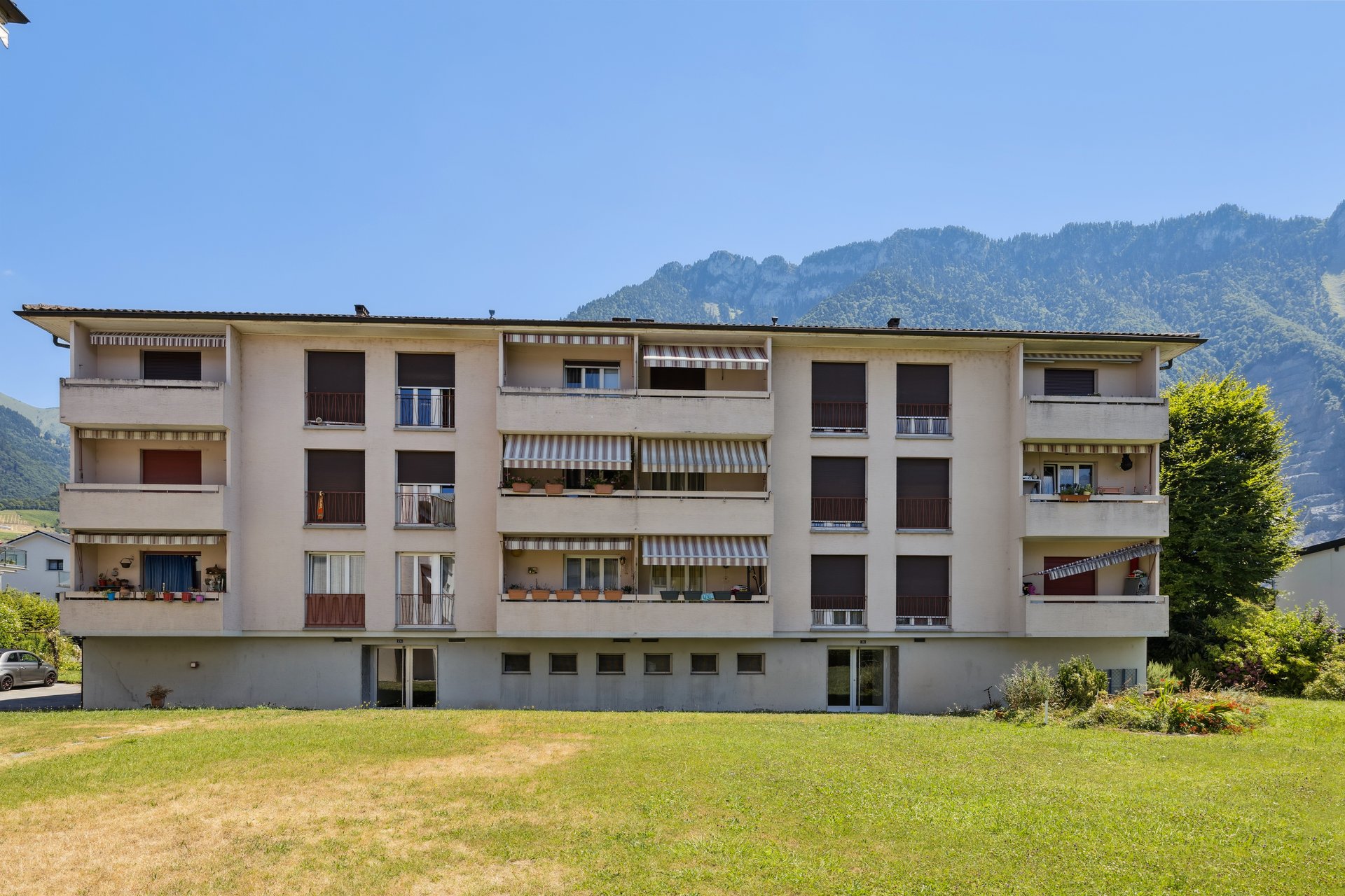 backbone 558308 A 313 WEB